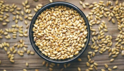 Набір для Посівання - Крупа Для Посівання - Готова Суміш Для Посівання