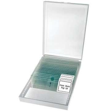 Микроскоп Bresser Erudit Basic Bino 40x-400x