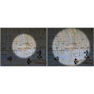 Бинокль Kowa BD II 10x32 XD