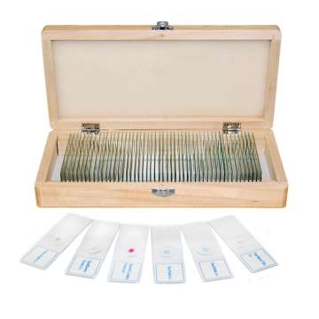 Набор препаратов Optima Общая биология A (50 шт.) (S-004.1)