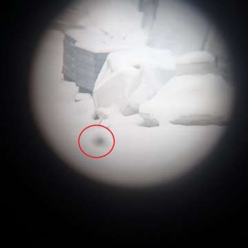 Бинокль Barska Lucid View 16x42 Refurbished