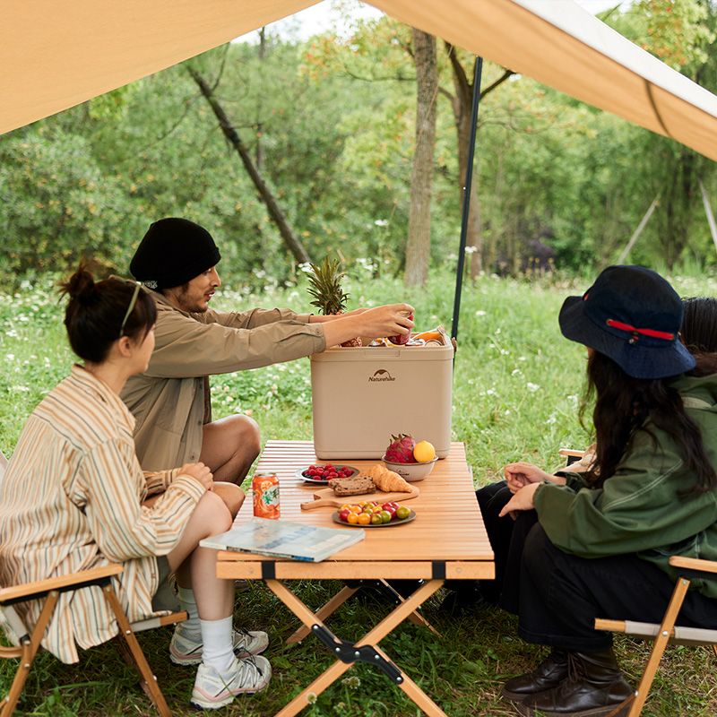 Туристичний холодильник Naturehike CNK2300BS011, 13 л, бежевий