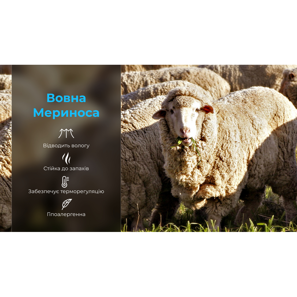 Шкарпетки водонепроникні Dexshell Hytherm Pro Socks, розмір М (39-42), чорні з коричневою смугою