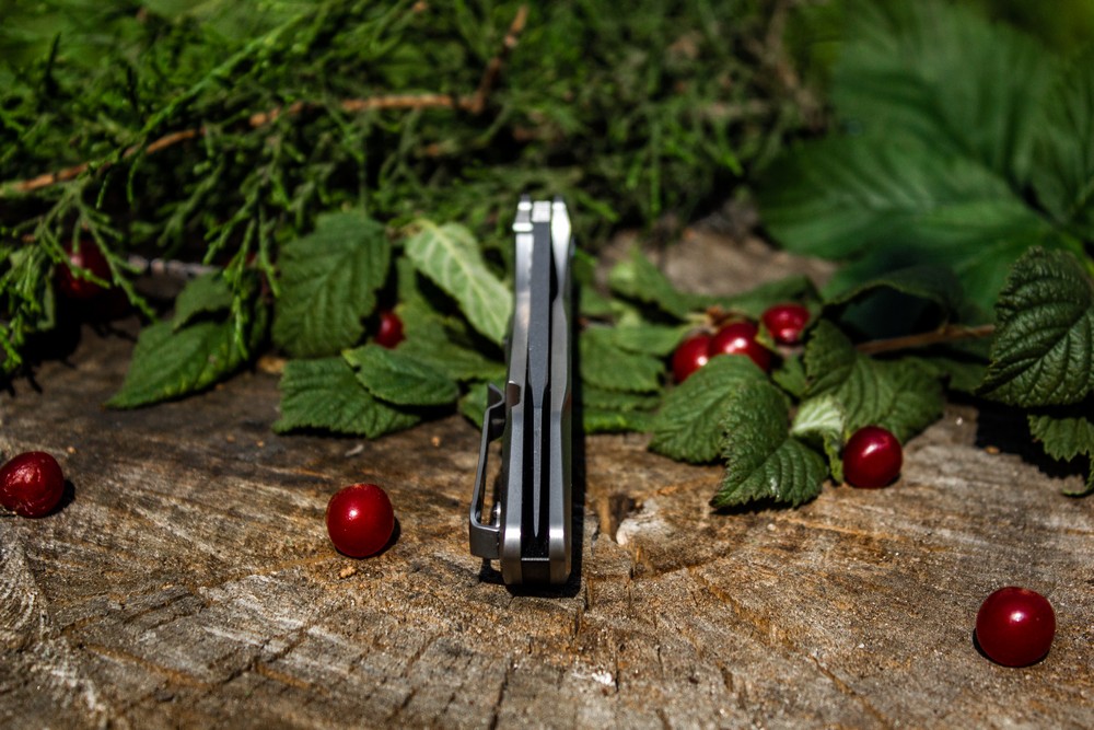 Ніж складаний Ruike P135-SF