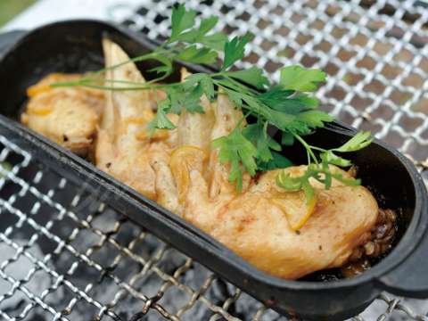 Голландская печь Snow Peak Micro Capsule