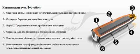 Патрон RWS кал.9,3x74 R пуля EVO GREEN масса 11,9 г/ 184 гр