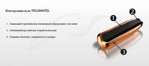 Патрон RWS 5,6х50 R Magnum пуля ТМS масса 4,1 г