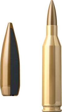 Патрон Sellier & Bellot Training кал. 243 Win пуля FMJ масса 5,2 грамм/ 80 гран. Нач. скорость 985 м/с.