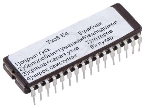 Чіп Multifon ТХС8/E4 на 8 доріжок