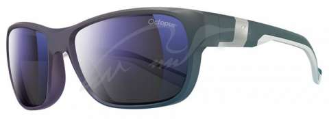 Очки Julbo COAST Octopus blue/grey