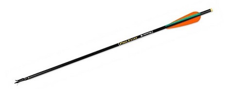 Стрелы карбон TenPoint Premium HTR SF100BH