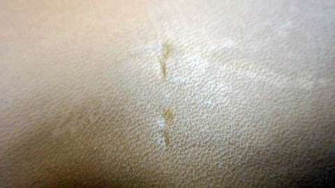 Кейс Emmebi 408/CAR для карабіна з встановленим прицілом. Макс. розміри гвинтівки - 119 х 20 см