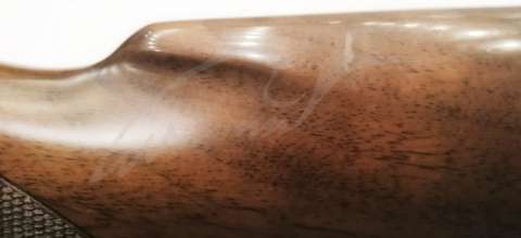 Рушниця Ata Arms CY Walnut кал. 20/76