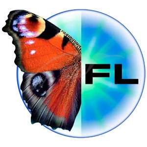 Приціл Zeiss Conquest V6 2-12x50. Сітка 60 (з підсвічуванням)