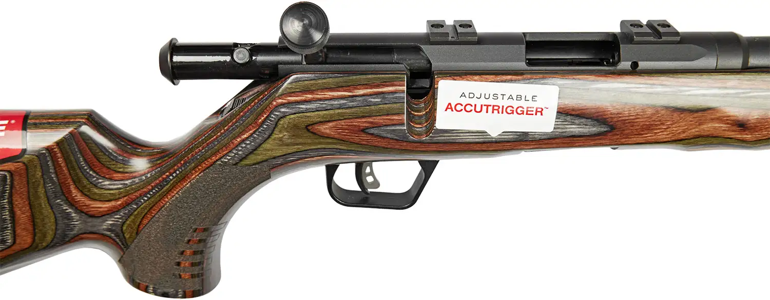 Винтовка малокалиберная Savage B22 BNS-SR 18" кал. 22 LR