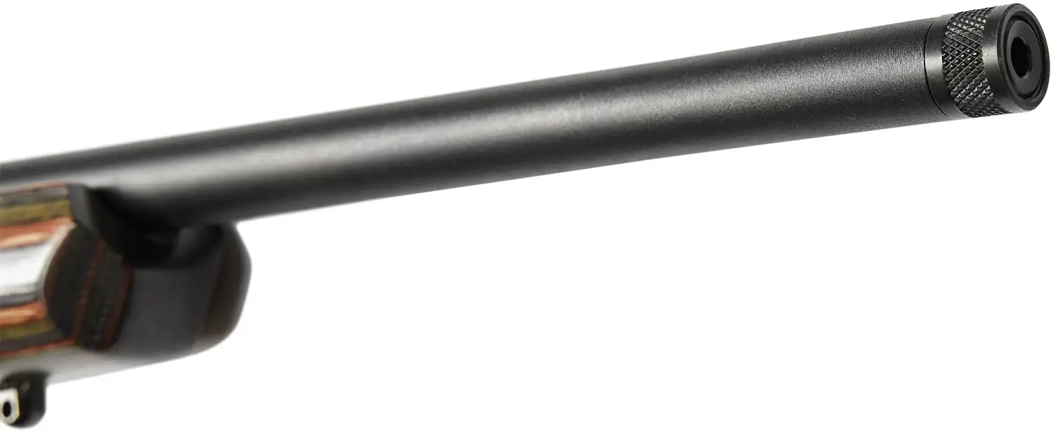 Винтовка малокалиберная Savage B22 BNS-SR 18" кал. 22 LR