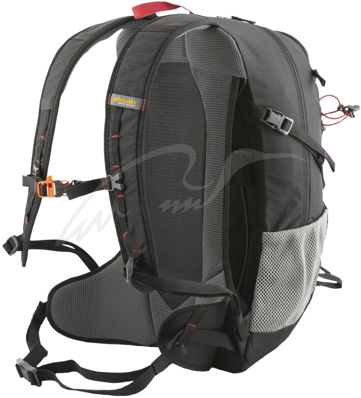 Рюкзак Pinguin Ride 25 2020 ц:black