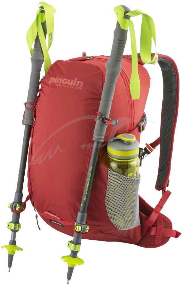 Рюкзак Pinguin Ride 25 2020 ц:black