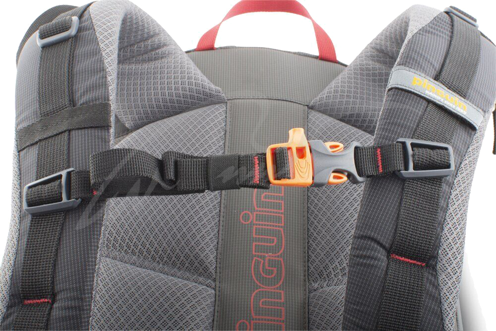 Рюкзак Pinguin Vector 35 ц:black