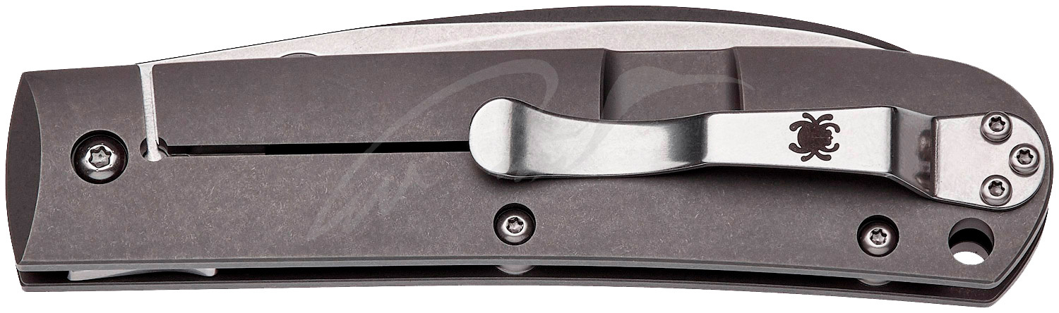 Нож Spyderco Swayback