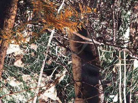 Пуловер SportChief Hoodie Camo.