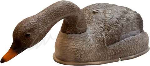 Підсадний гусак Birdland кормящийся