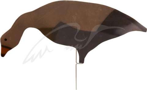 Силует гусака Birdland кормящийся