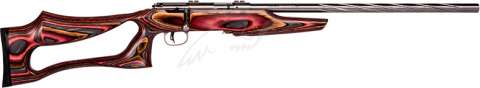 Гвинтівка малокаліберна Savage Mark II BSEV 21" кал. 22 LR