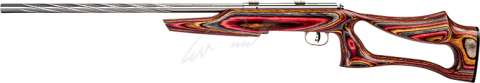 Гвинтівка малокаліберна Savage Mark II BSEV 21" кал. 22 LR