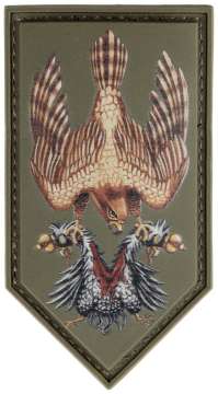 Патч МИД Сокіл. Olive