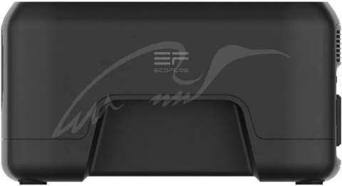 Зарядное устройство EcoFlow River Mini