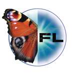 Прицел оптический Zeiss Victory Diavari 6-24х56 T* FL