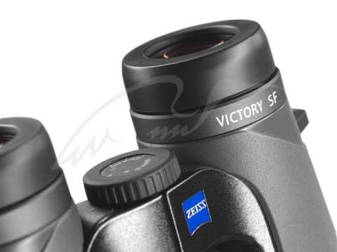 Бинокль Zeiss Victory SF 8x42. Цвет - серый