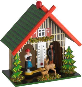 Метеостанция TFA 481501