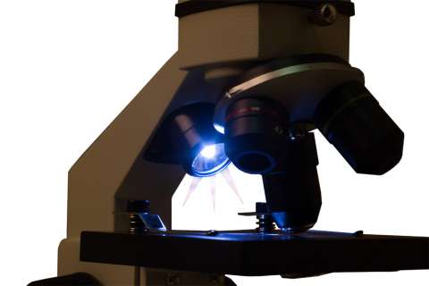 Микроскоп Levenhuk Rainbow 2L PLUS Moonstone\Лунный камень