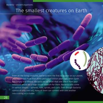 Книга знаний «Невидимый мир»