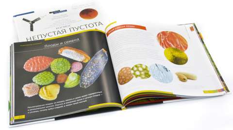 Книга знаний в 2 томах. «Космос. Микромир»