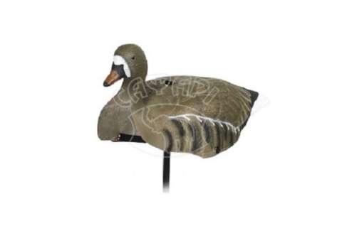 Опудало гусака Birdland самець