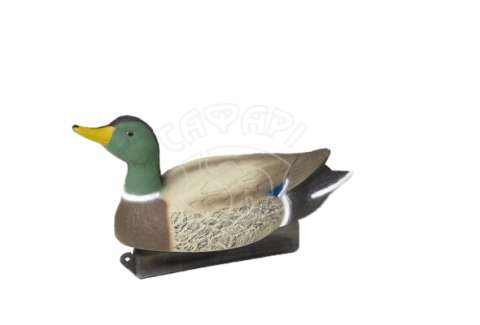 Опудало крижні Birdland самець