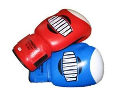 Перчатки боксёрские кож. SUPREME OFFICIAL KAMAKURA 10 ун.