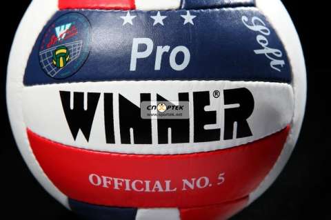 Мяч волейбольный Winner PRO