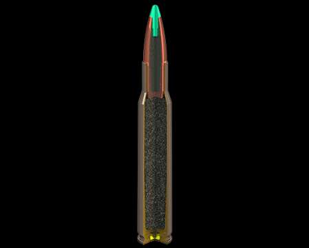 Патрон нарізний Federal Vital-Shok, 30-06, 165GR (10,69 г), Nosler BALLISTIC TIP