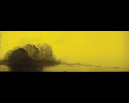 Патрон нарізний Federal Vital-Shok, 30-06, 165GR (10,69 г), Nosler BALLISTIC TIP