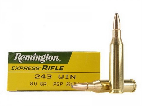 Патрон нарізний Remington Express Rifle 243 Win PSP 5,2 г (80 Gr)