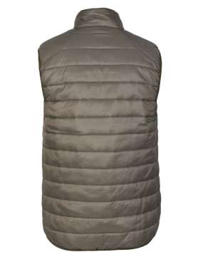Жилет чоловічий "ALPINE" Hart