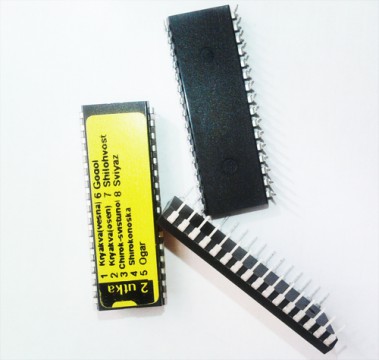 MP100-2 Чіп для ел.манка "Качка"