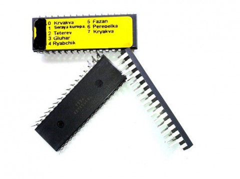 Чіп для ел.манка Mundi Sound "Гусь-Качка" MP100-6