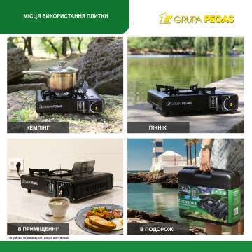 Плита газова Grupa Pegas 1900 ВТ