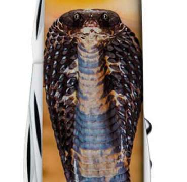 Ніж Victorinox Swiss Army Spartan Zodiac Королівська кобра