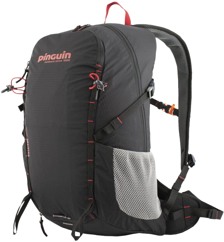 Рюкзак Pinguin Ride 19 2020 ц:black